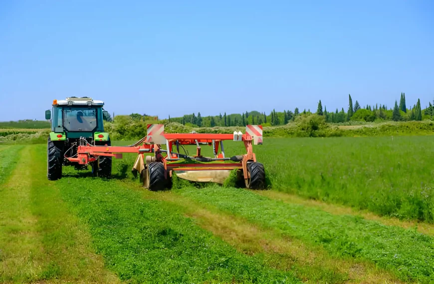 International conference on Agricultural and Biological Sciences